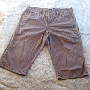 BandolinoBlu Brown Shorts